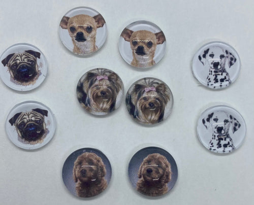 Dog Lot 2