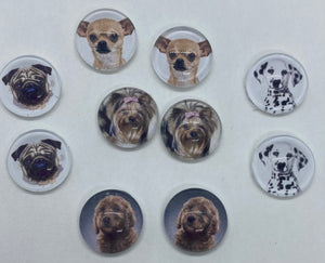 Dog Lot 2