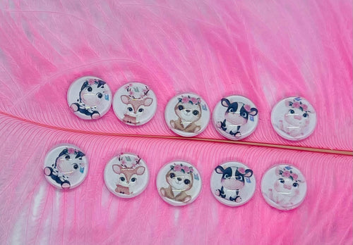 Baby Animals