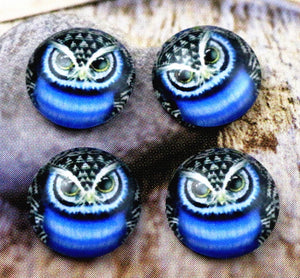 Blue Owl Cabochon