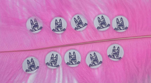 German Shepard Black and White