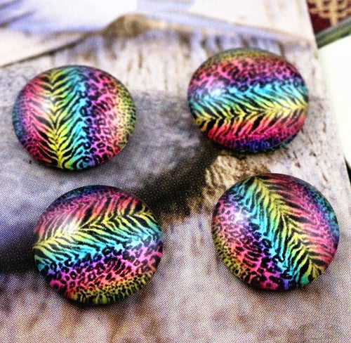 Rainbow Animal Print