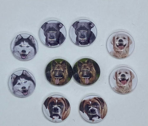 Dog Lot 1