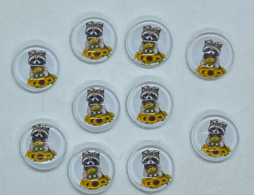 Racoon with Sunflowers