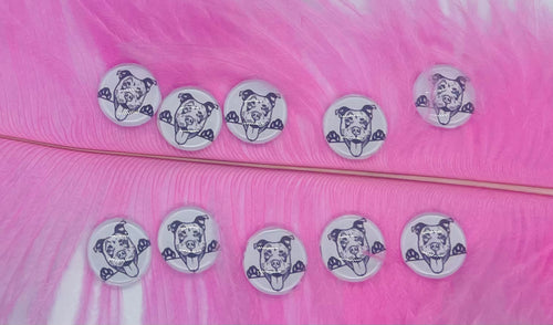 Pit Bull Black and White