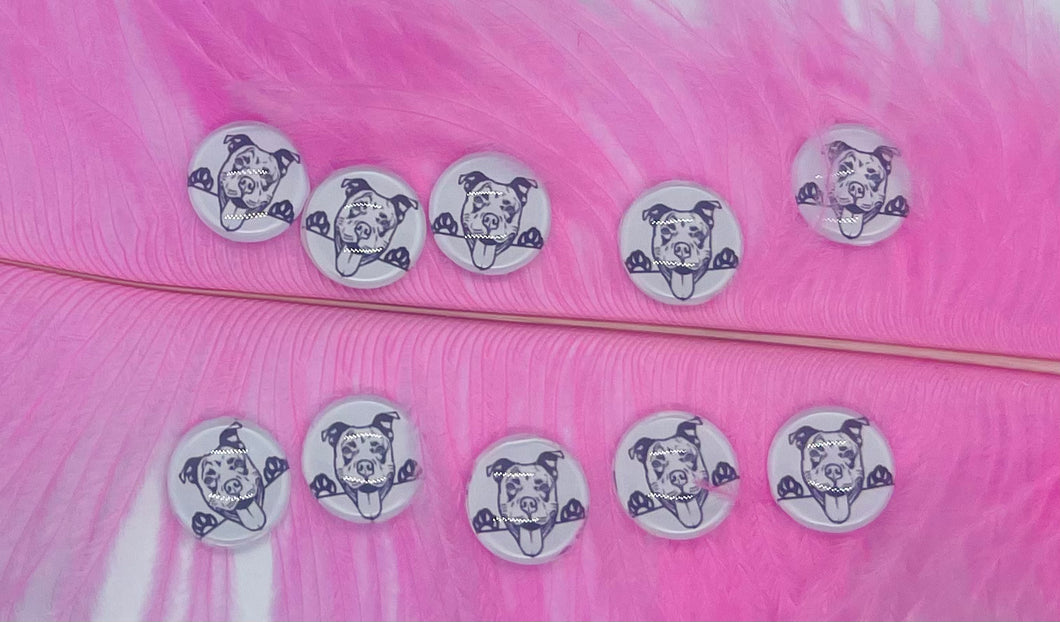 Pit Bull Black and White